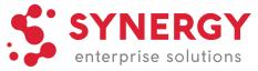 Synergy Enterprise Solutions  logo